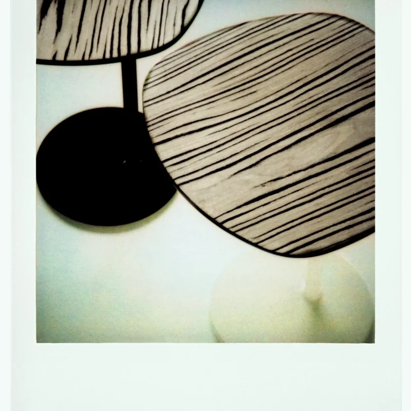 Bloomy – Moroso at Mesmetric
