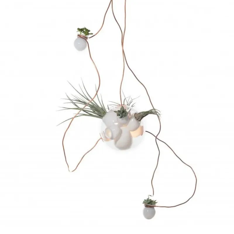 38.3m – Bocci at Mesmetric