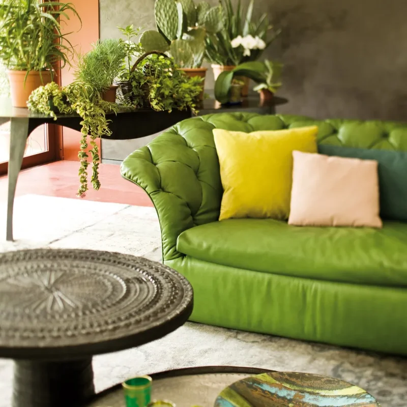 Bohemian - Moroso w Mesmetric