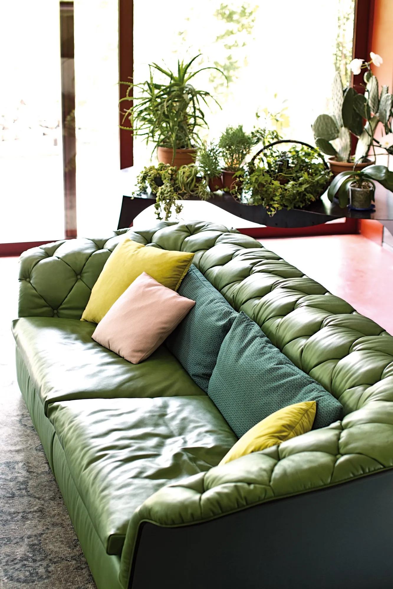 Bohemian - Moroso w Mesmetric