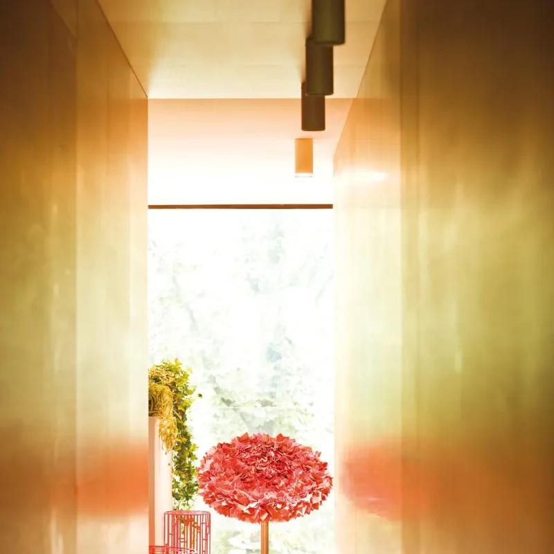 Bouquet - Moroso w Mesmetric