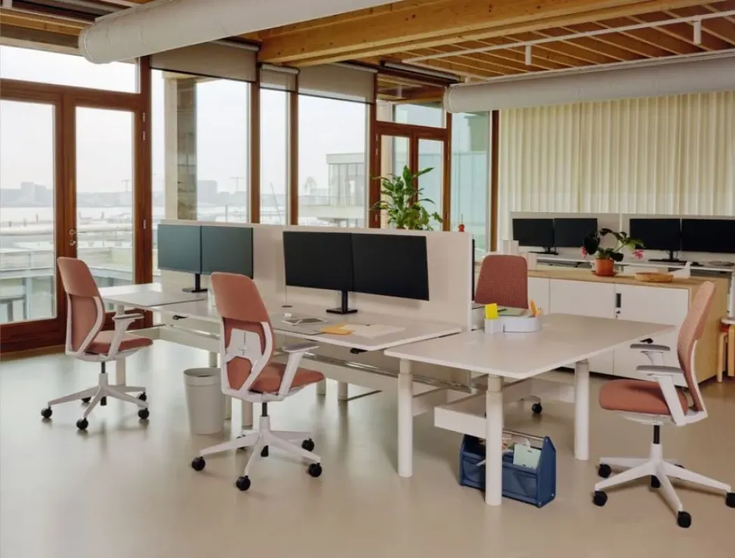 ACX Soft - Vitra w Mesmetric