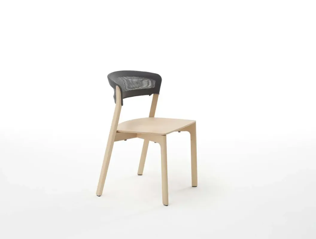 Café Chair – Arco at Mesmetric