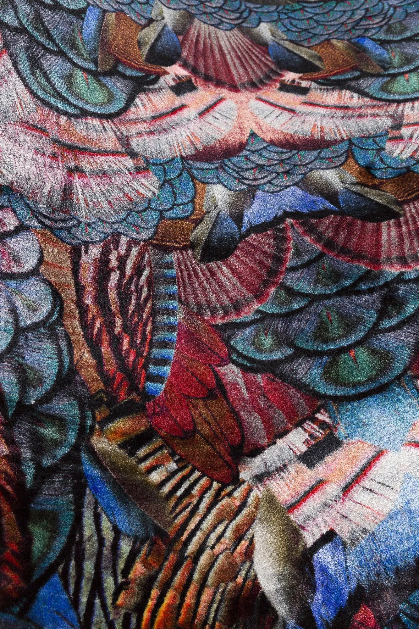Calligraphy Bird – Moooi Carpets at Mesmetric