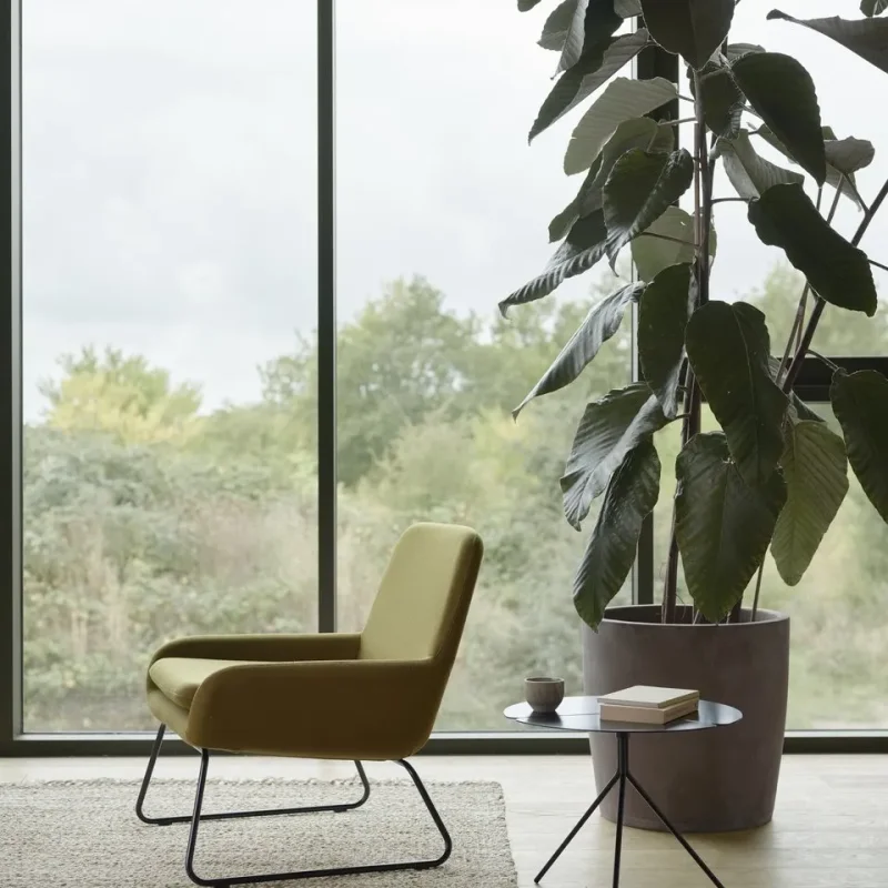 Coco – Softline at Mesmetric