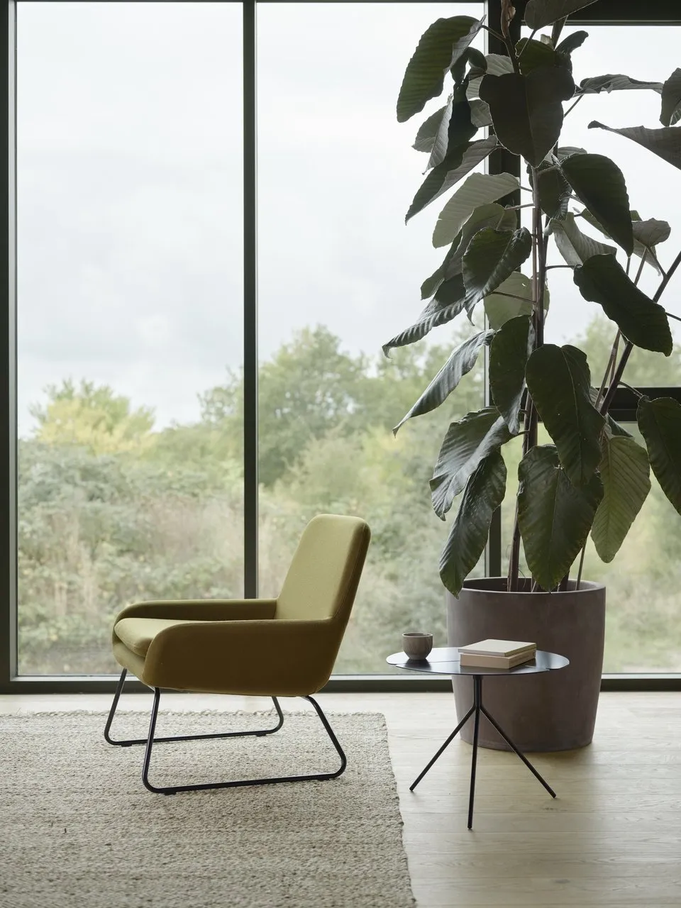Coco – Softline at Mesmetric