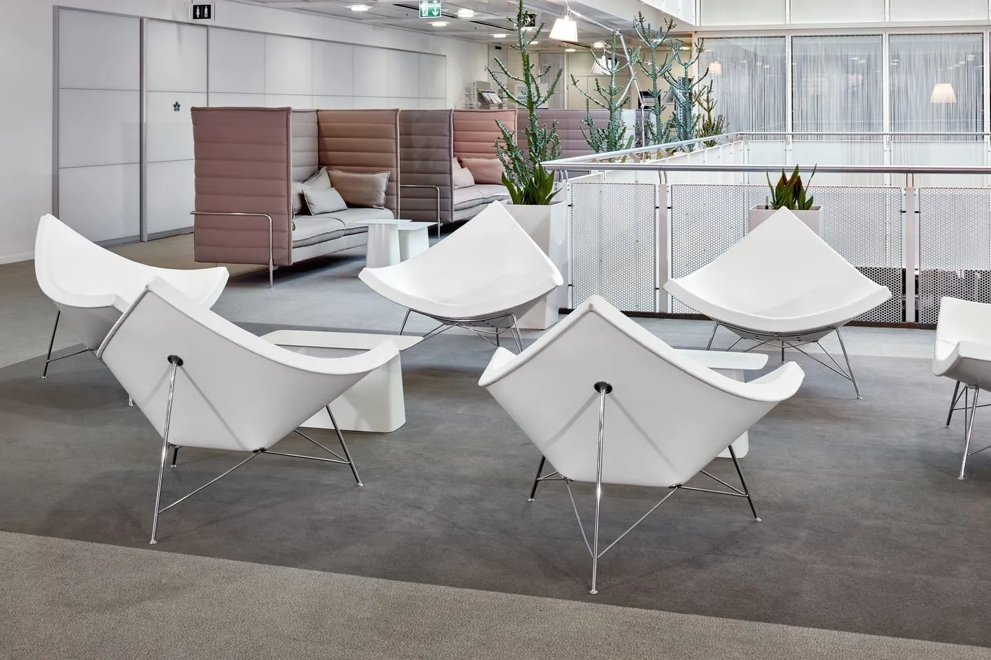 Coconut - Vitra w Mesmetric
