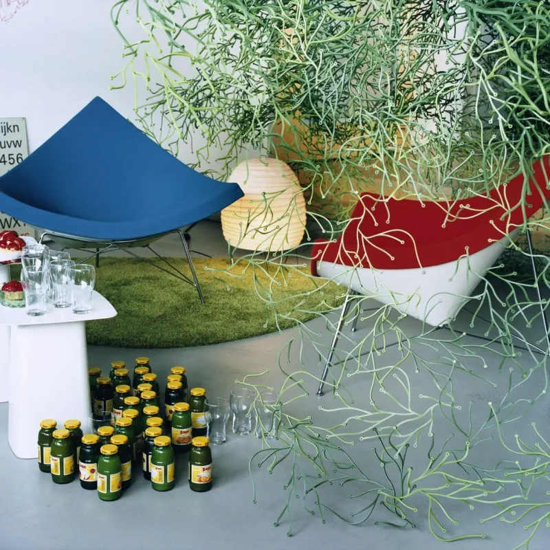 Coconut - Vitra w Mesmetric