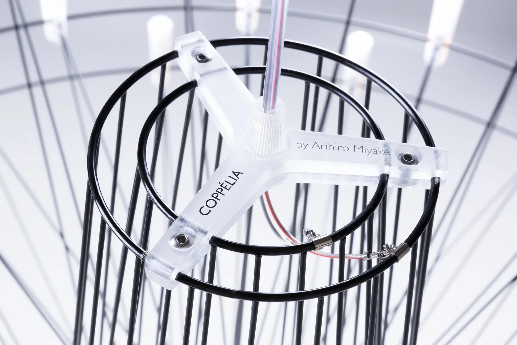Coppélia – Moooi at Mesmetric