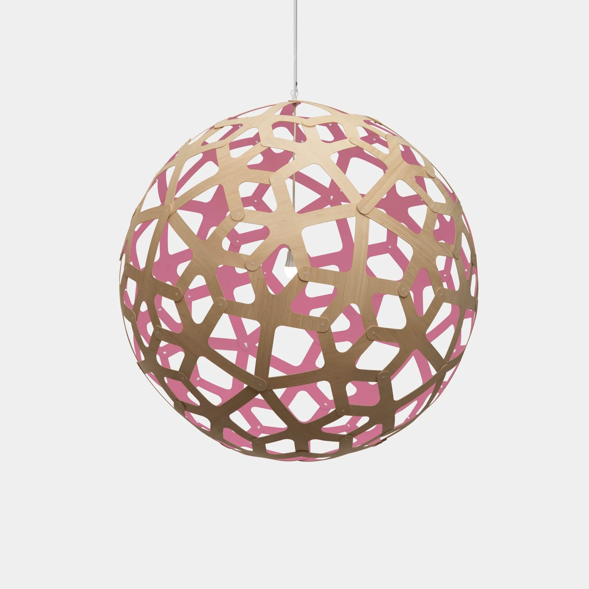 Coral – David Trubridge at Mesmetric