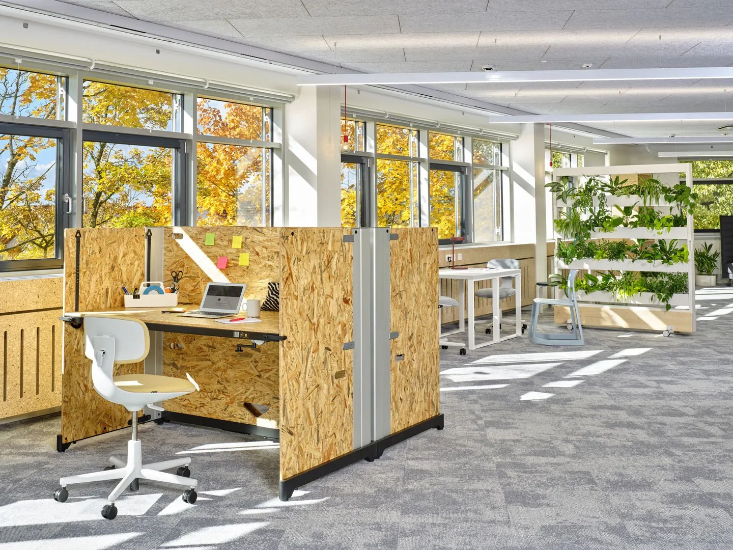Dancing Wall - Vitra w Mesmetric