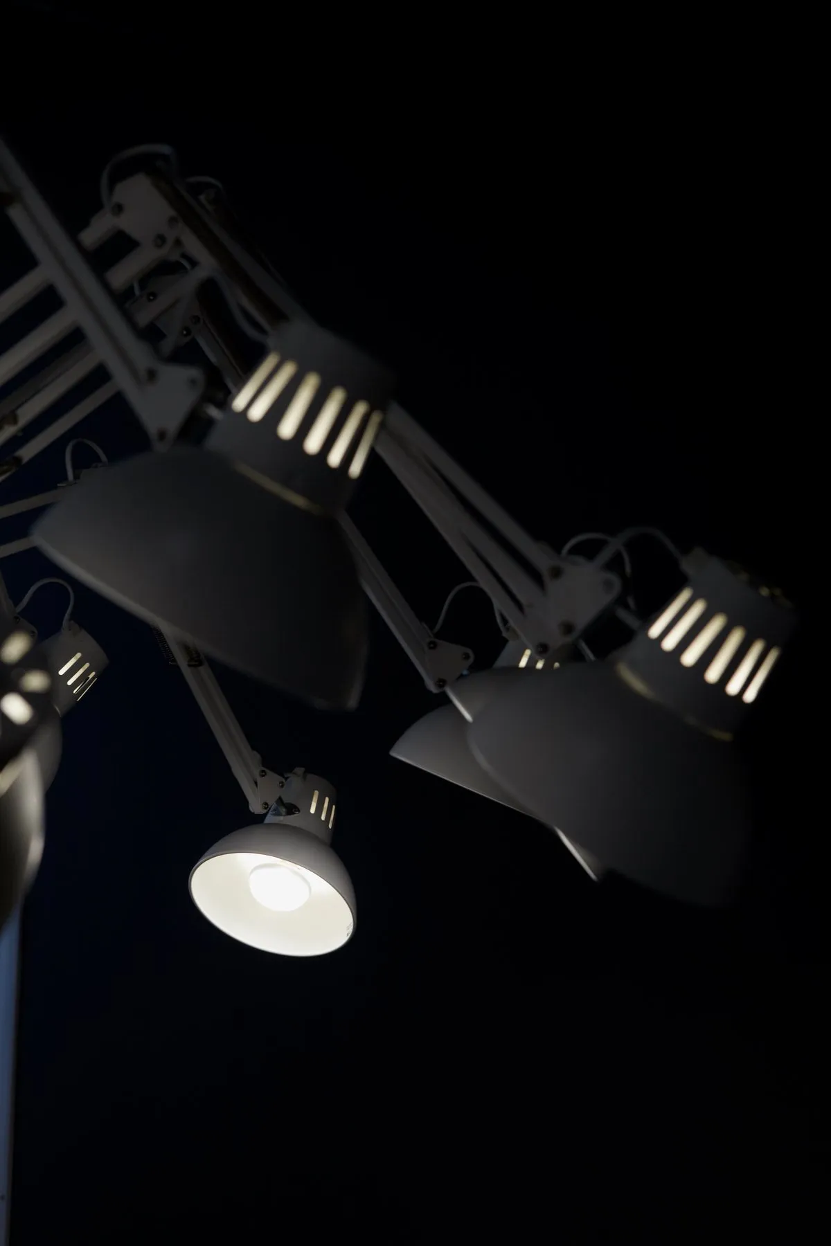 Dear Ingo – Moooi at Mesmetric