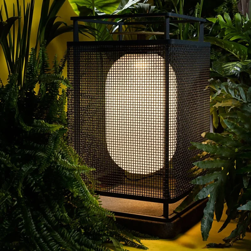 Denglong p indoor / outdoor – Parachilna at Mesmetric
