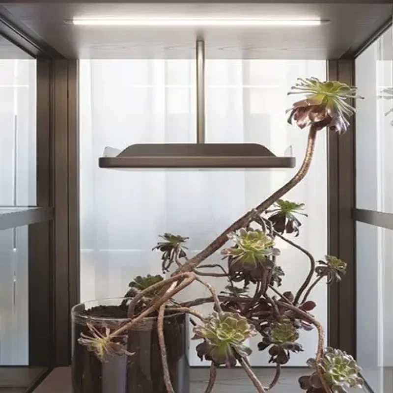 Domus - Giorgetti w Mesmetric