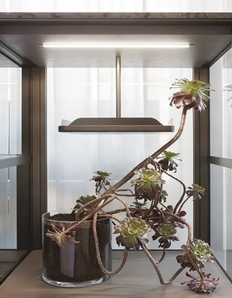 Domus - Giorgetti w Mesmetric