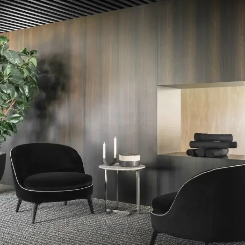 Dragonfly 20 Armchair – Flexform at Mesmetric