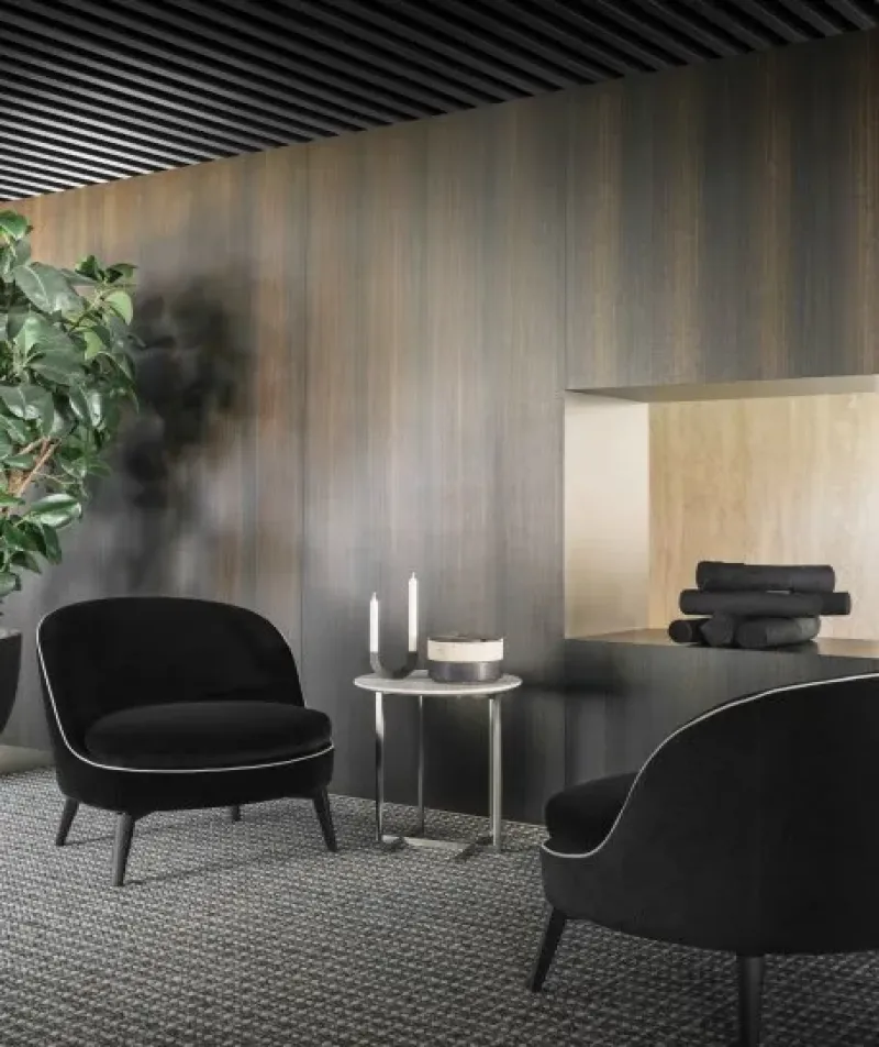 Dragonfly 20 Armchair – Flexform at Mesmetric