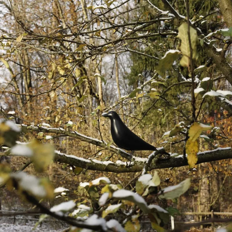 Eames House Bird – Vitra at Mesmetric