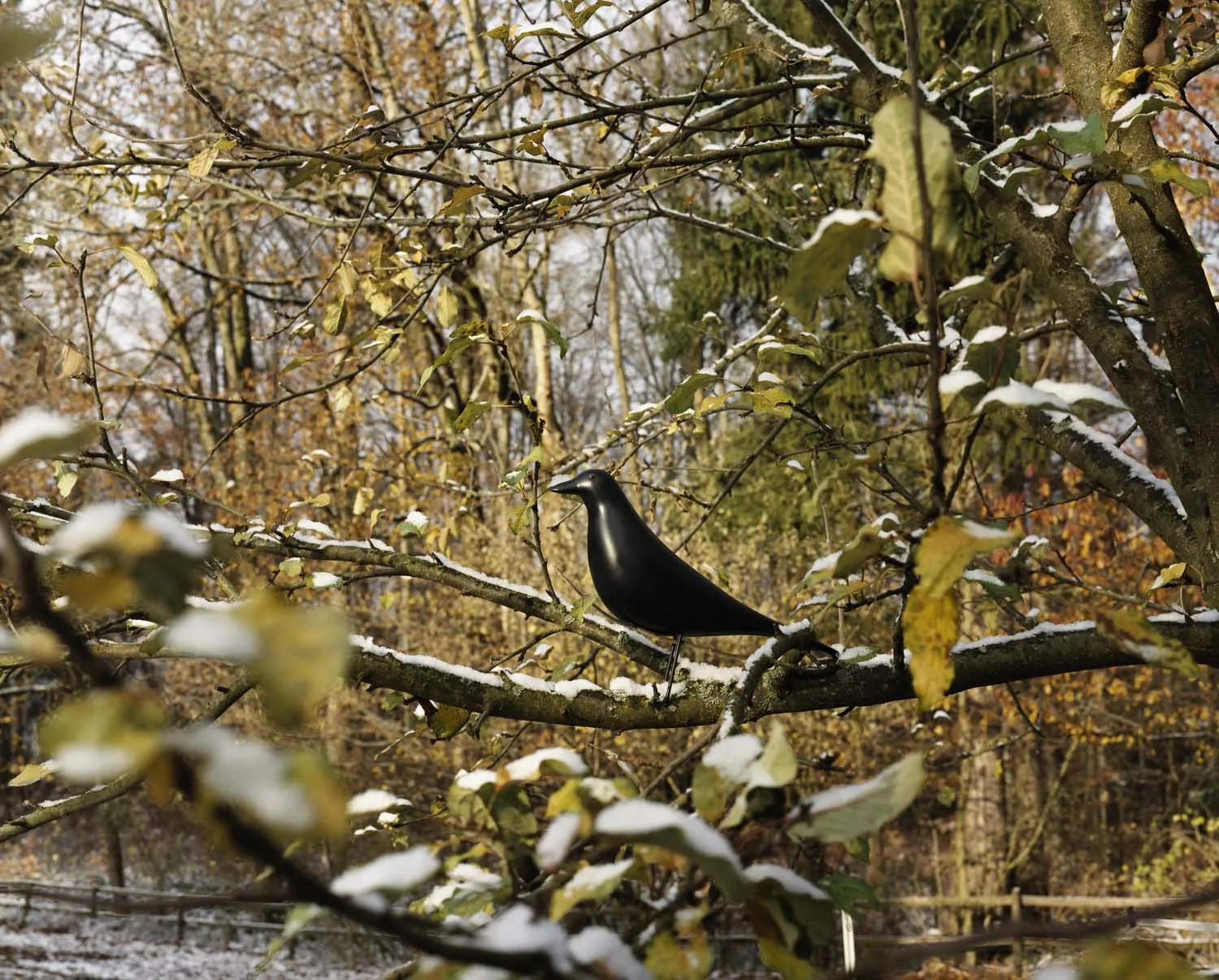 Eames House Bird – Vitra at Mesmetric