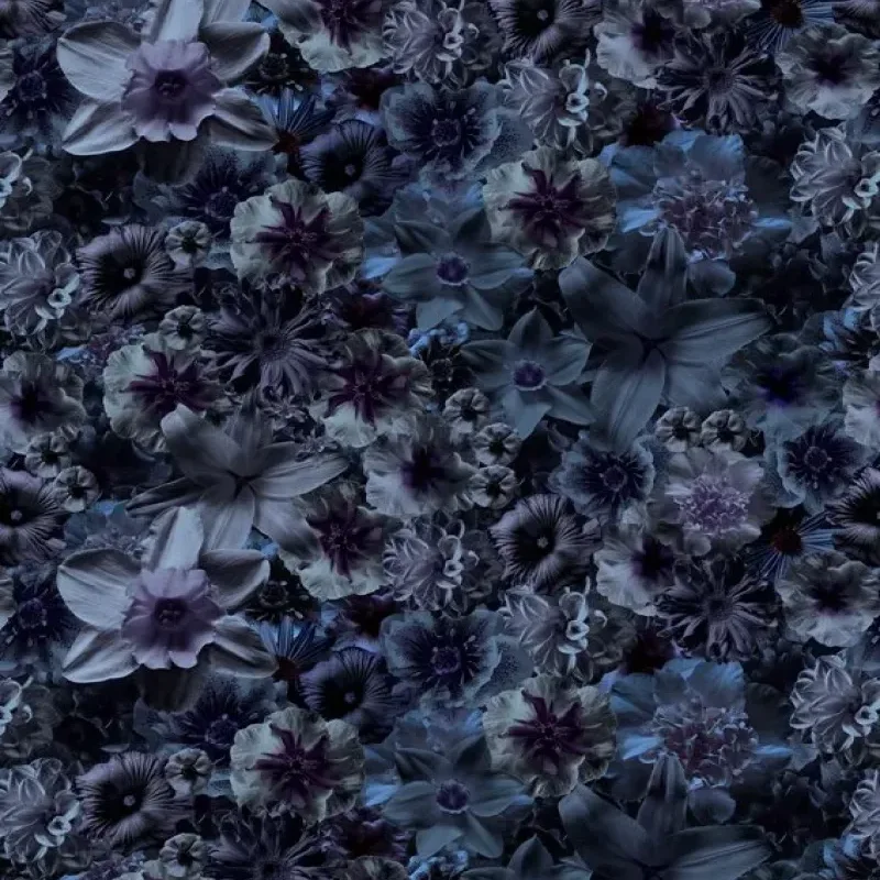 Flowergarden – Moooi Carpets at Mesmetric