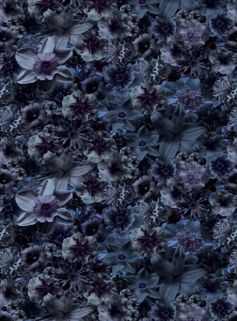 Flowergarden – Moooi Carpets at Mesmetric