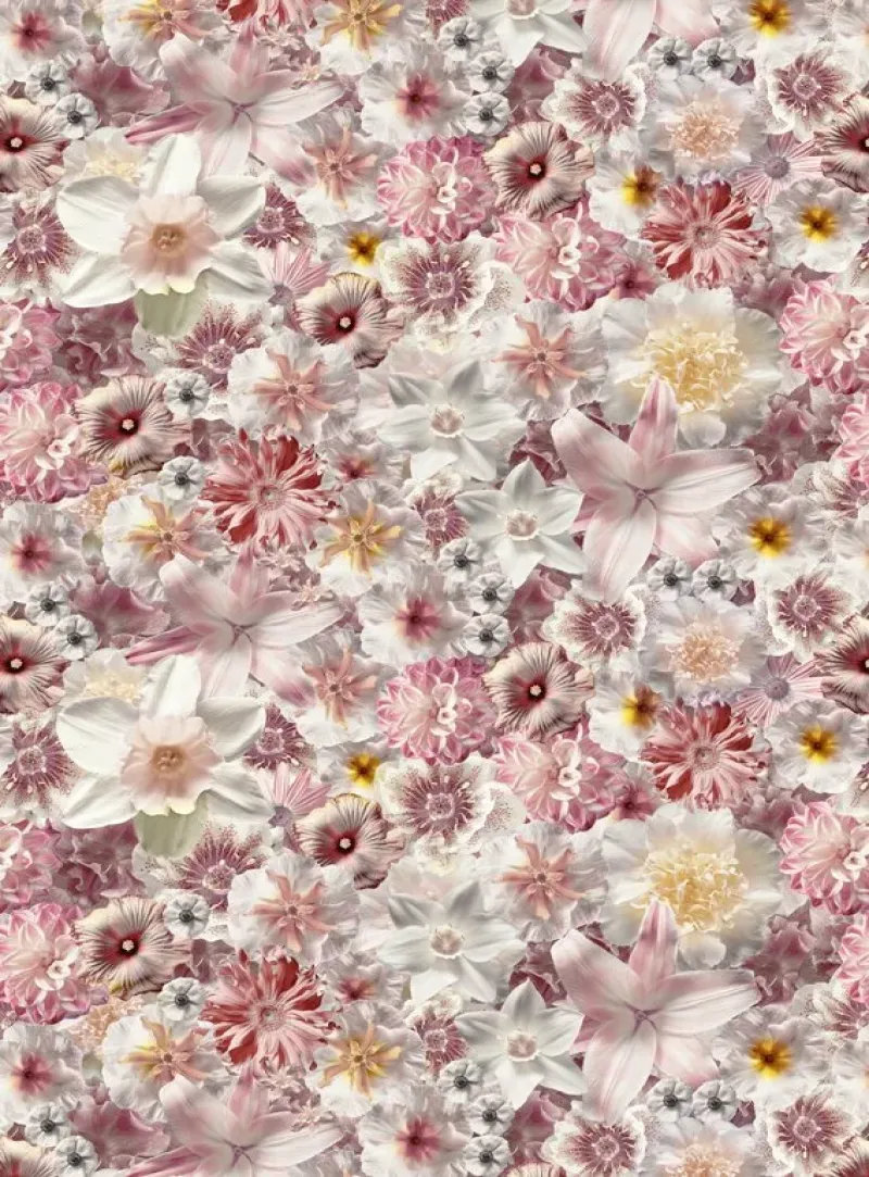 Flowergarden – Moooi Carpets at Mesmetric