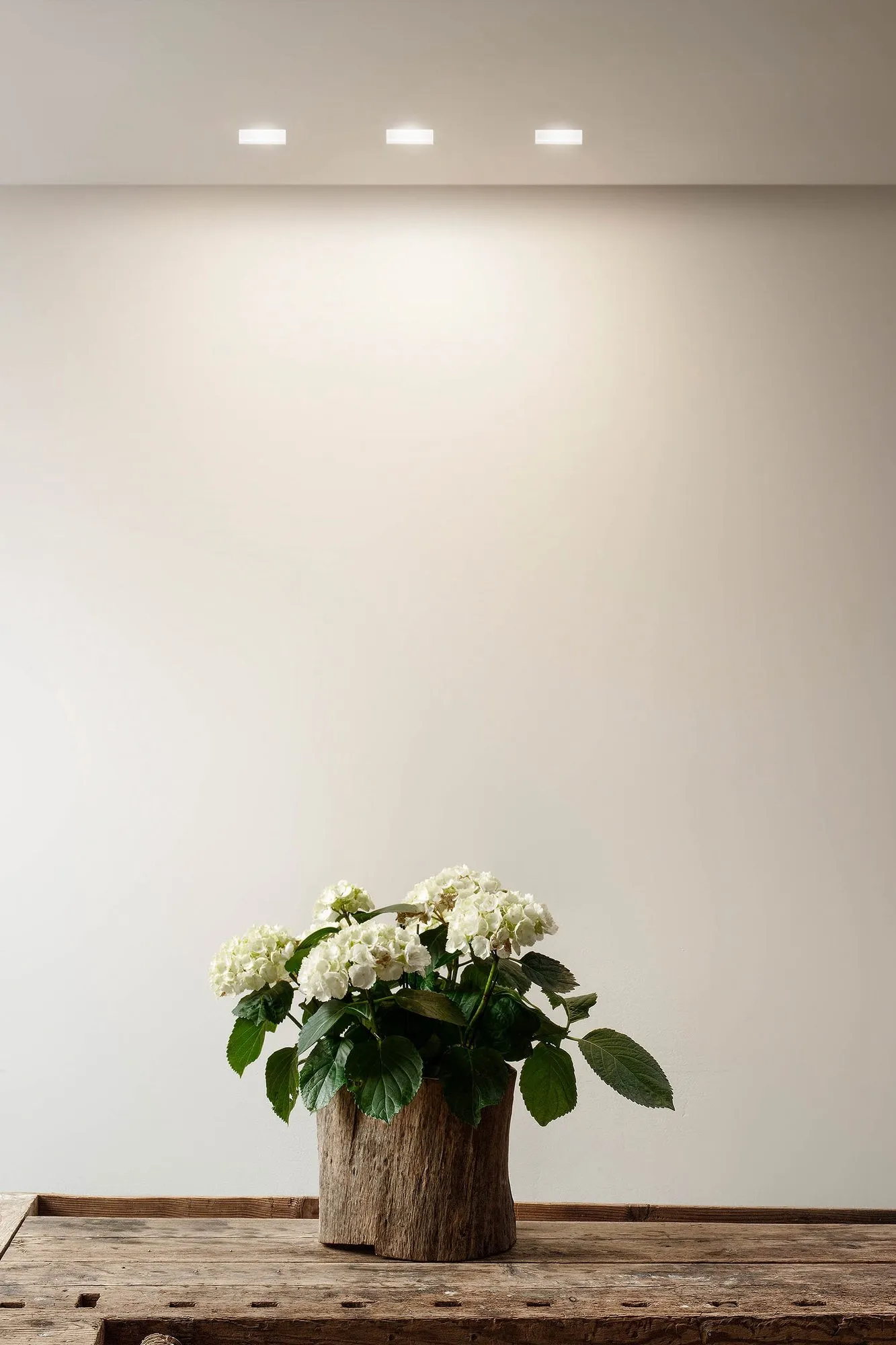 Ghost Built-In - OLEV w Mesmetric