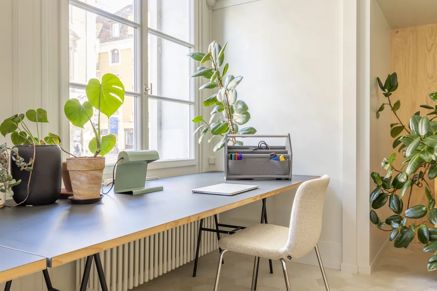 Hal Soft Tube - Vitra w Mesmetric