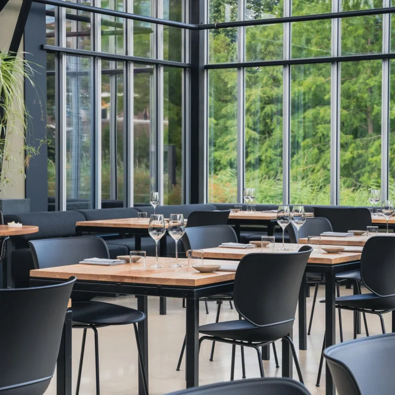 Hana Chairs Unupholstered