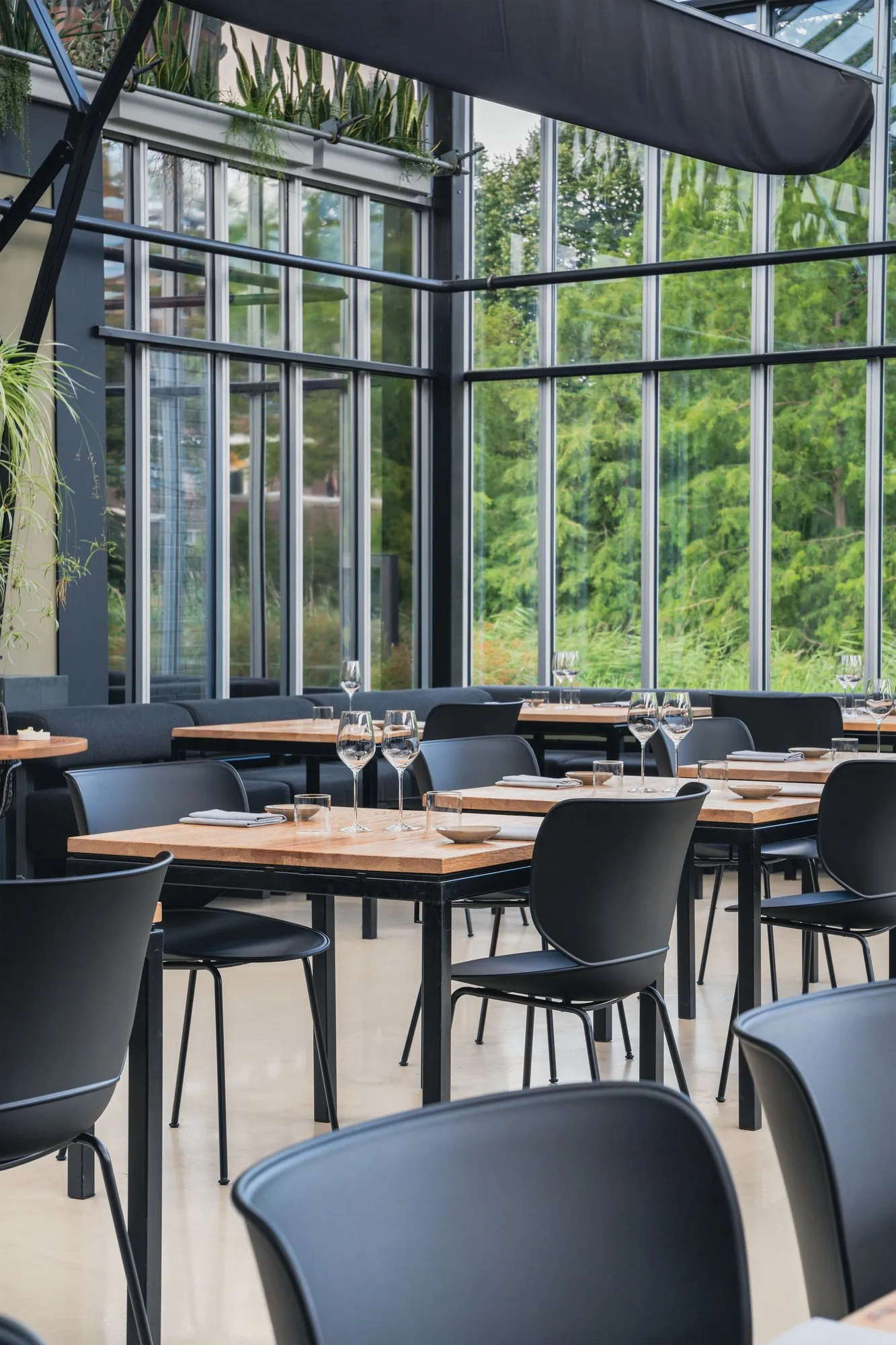 Hana Chairs Unupholstered