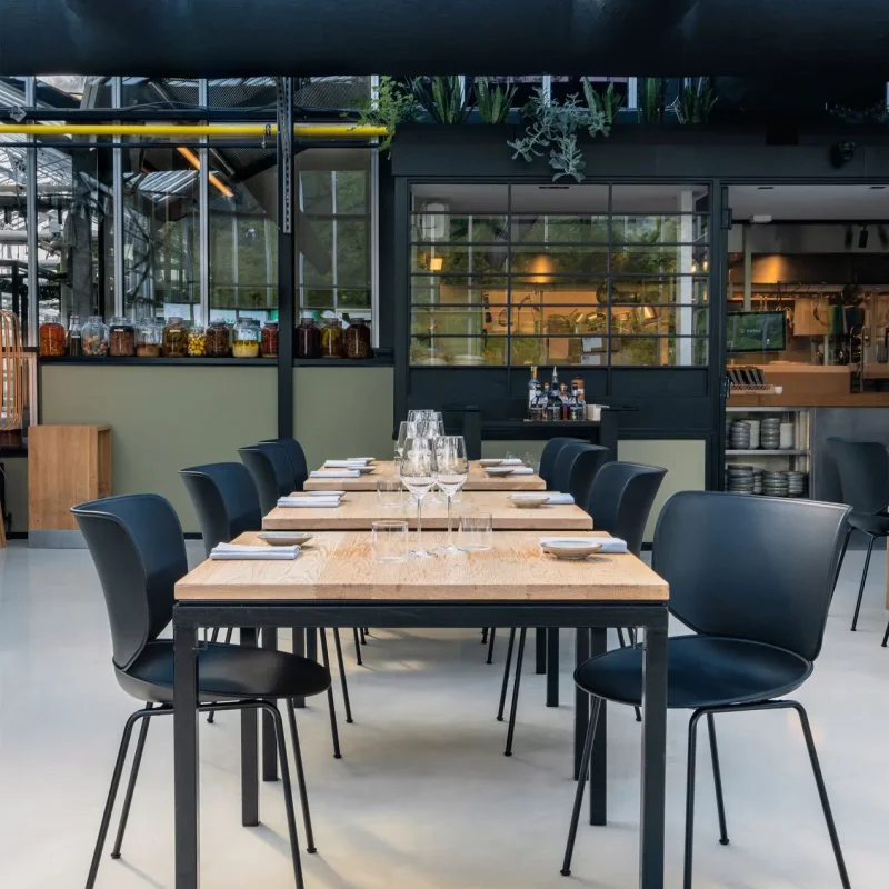 Hana Chairs Unupholstered
