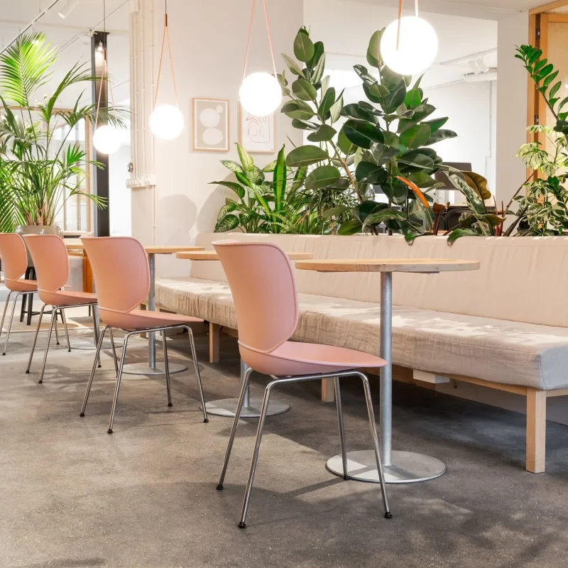 Hana Chairs Unupholstered