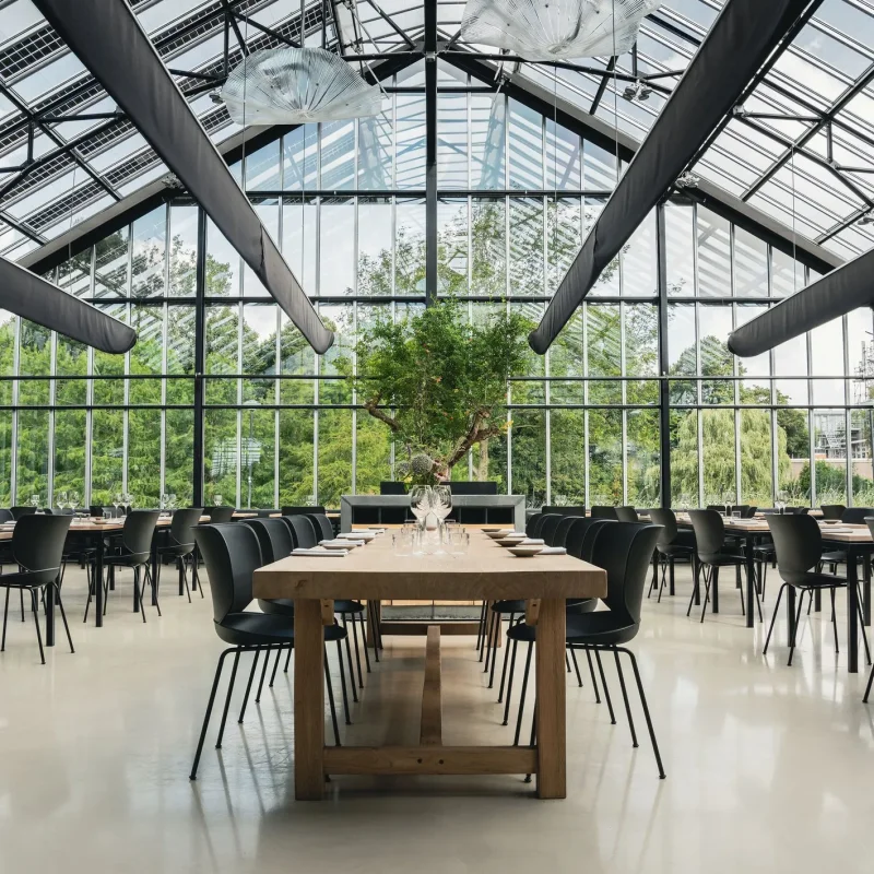 Hana Chairs Unupholstered