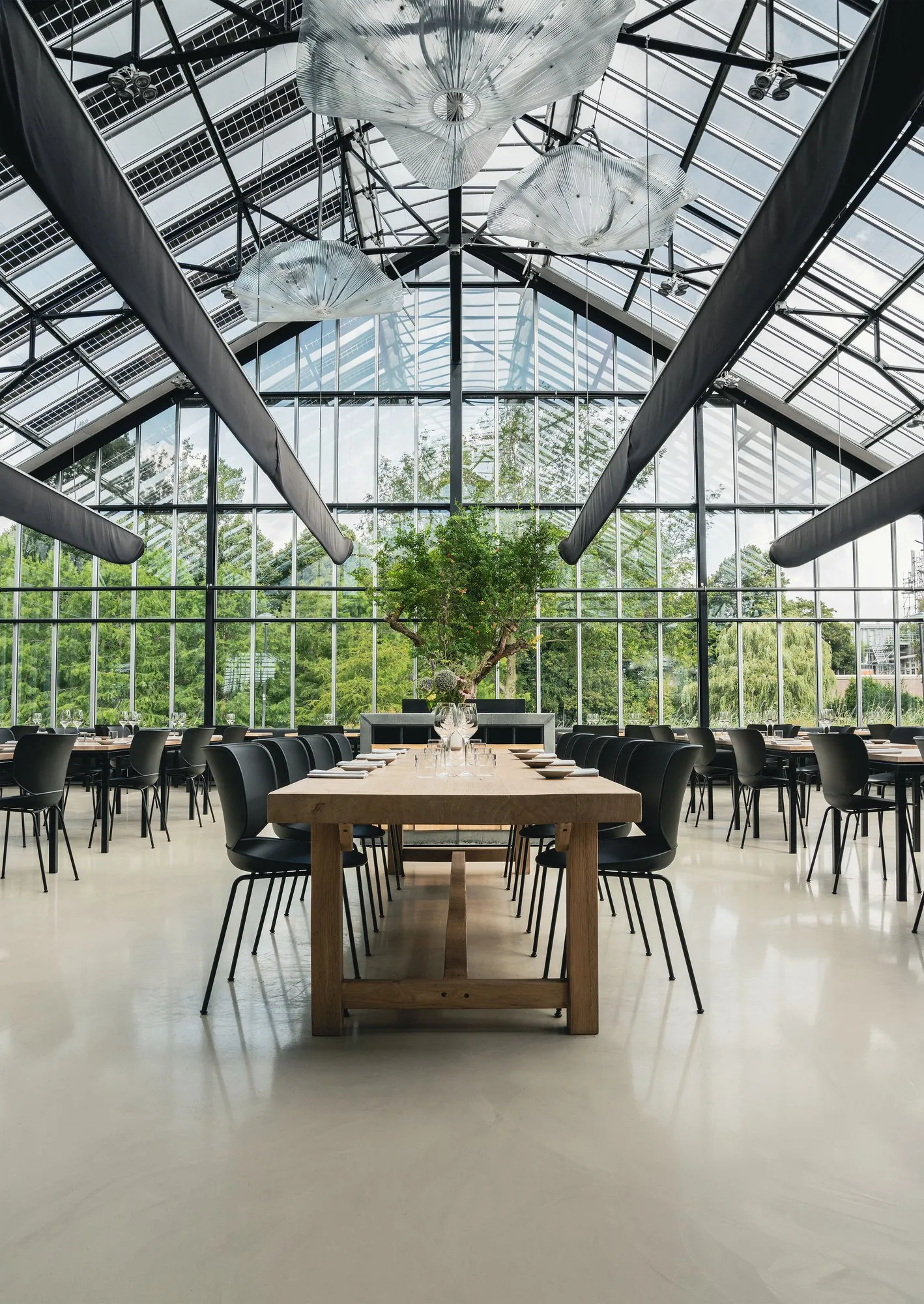 Hana Chairs Unupholstered