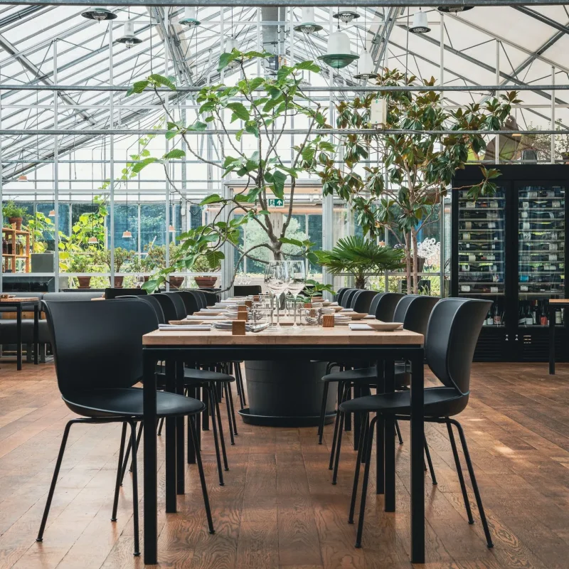 Hana Chairs Unupholstered