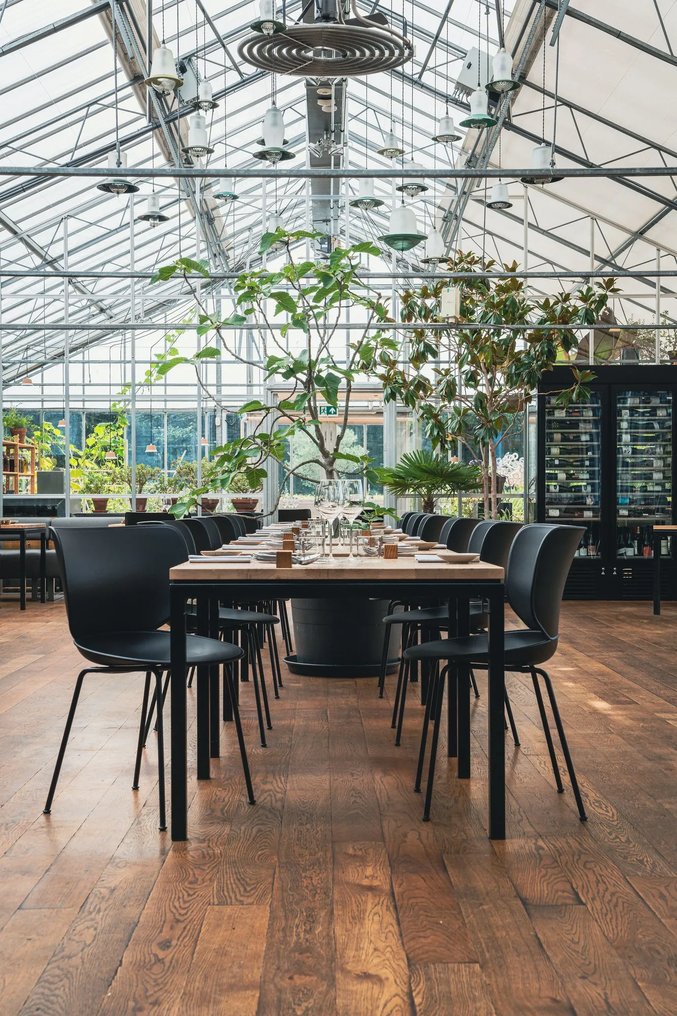 Hana Chairs Unupholstered