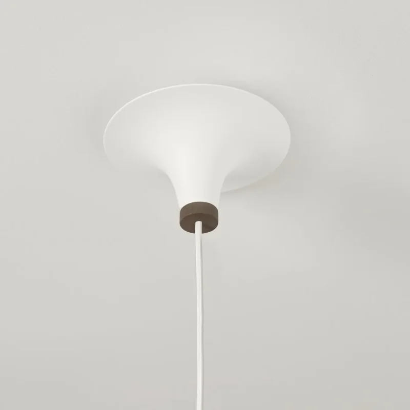 Acorn - Northern w Mesmetric