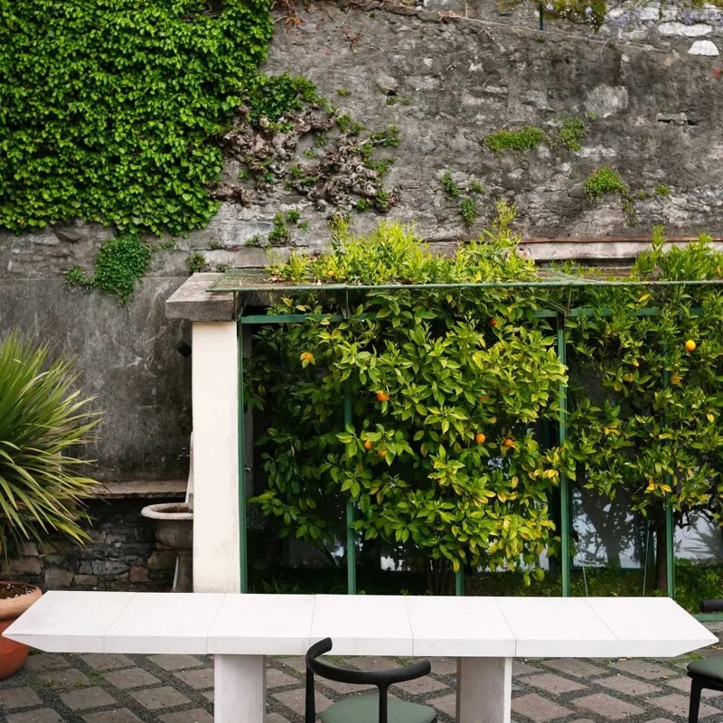 Judd Outdoor - Baxter w Mesmetric