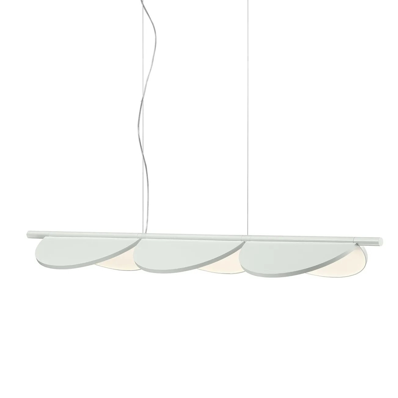 Almendra Linear