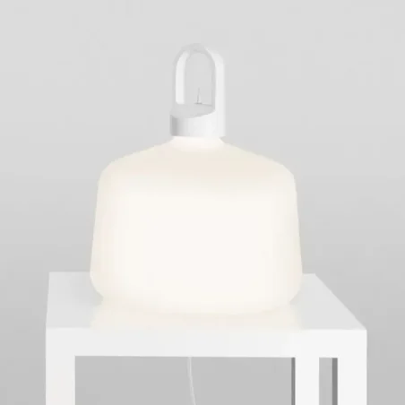 Bottle