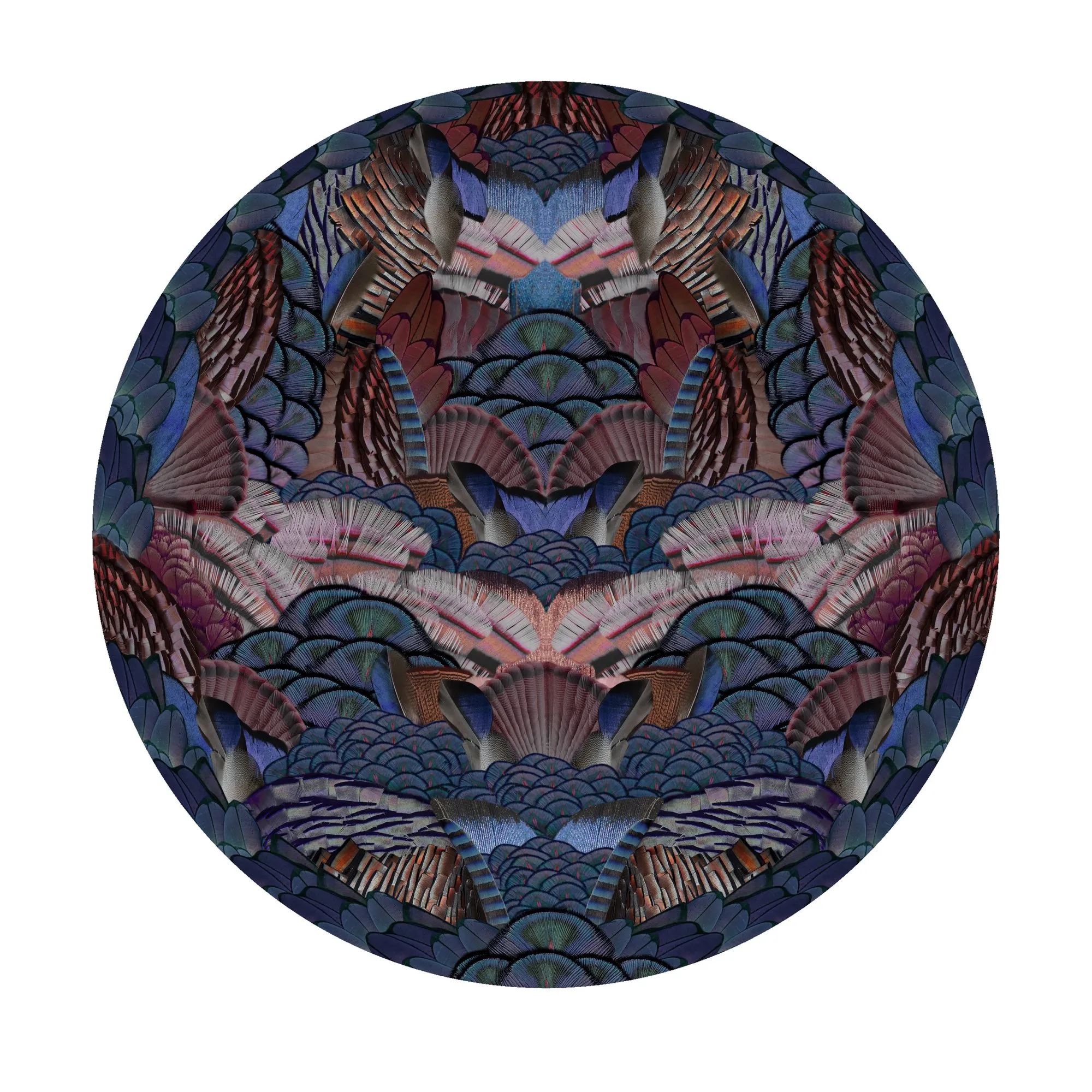 Calligraphy Bird – Moooi Carpets at Mesmetric