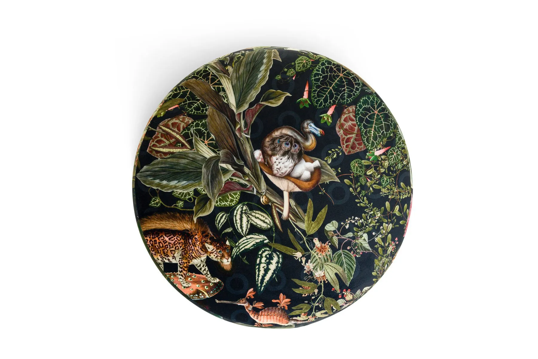 Pooof – Moooi at Mesmetric