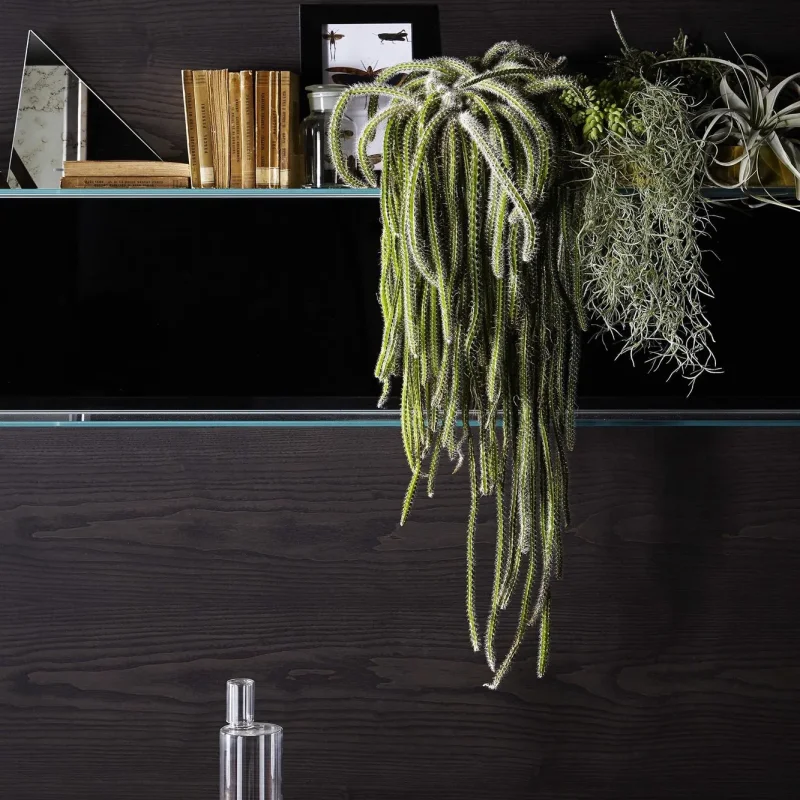 Riki Trolley – Gallotti & Radice at Mesmetric