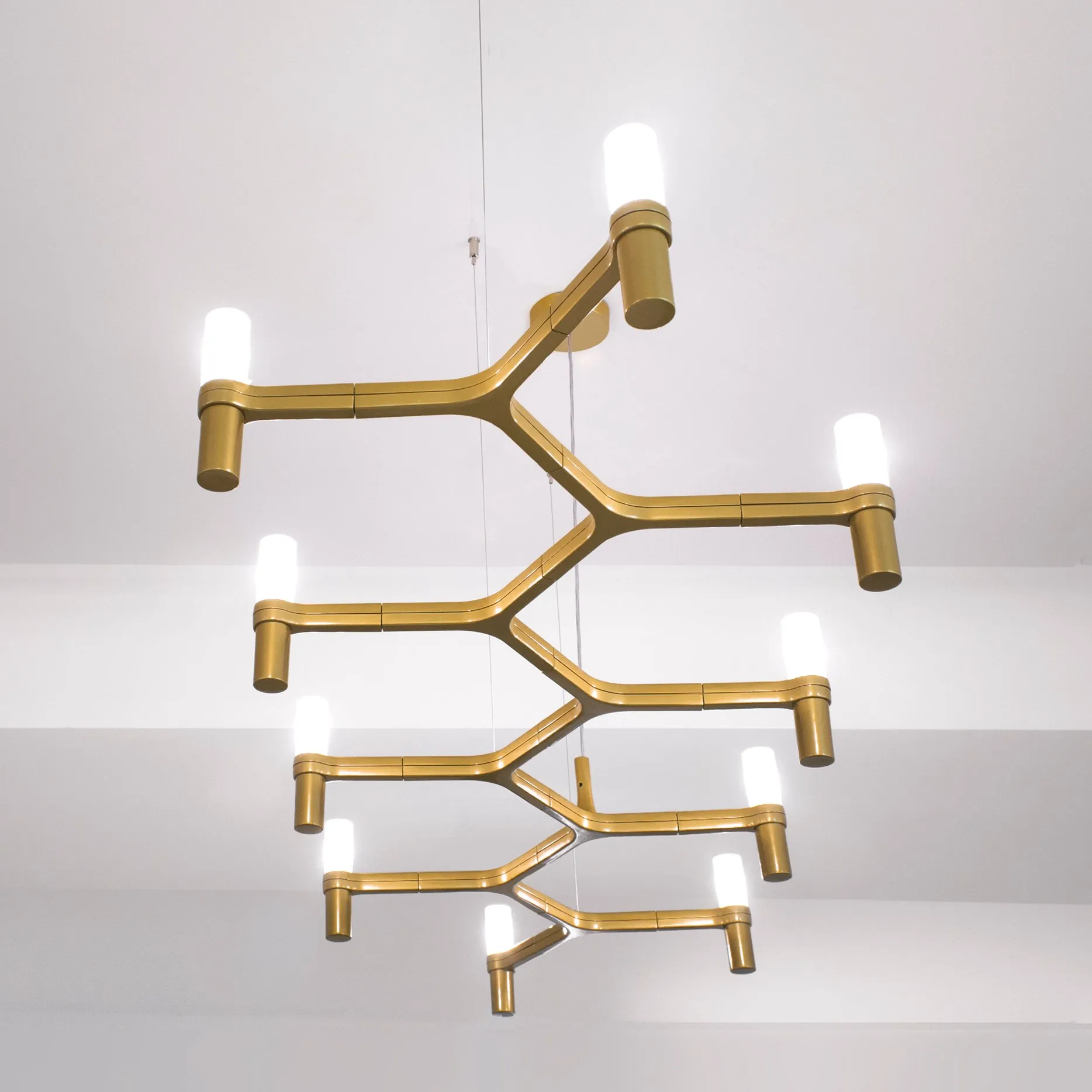 Crown Plana Linea - Nemo Lighting w Mesmetric