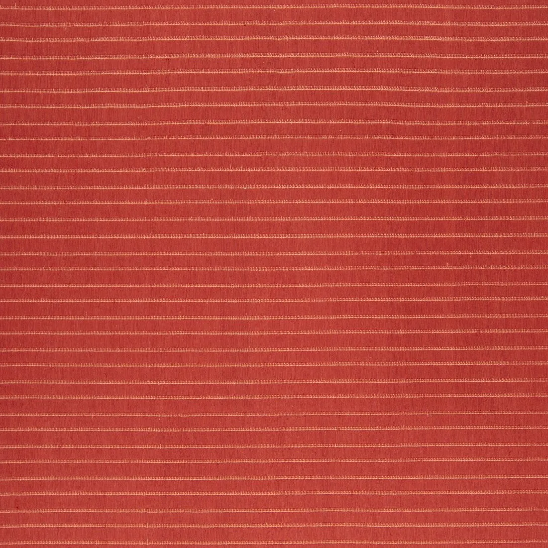 Cultivate - CC-Tapis w Mesmetric