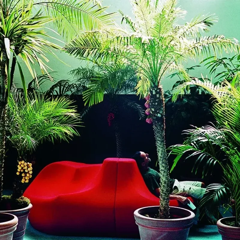 Saruyama - Moroso w Mesmetric