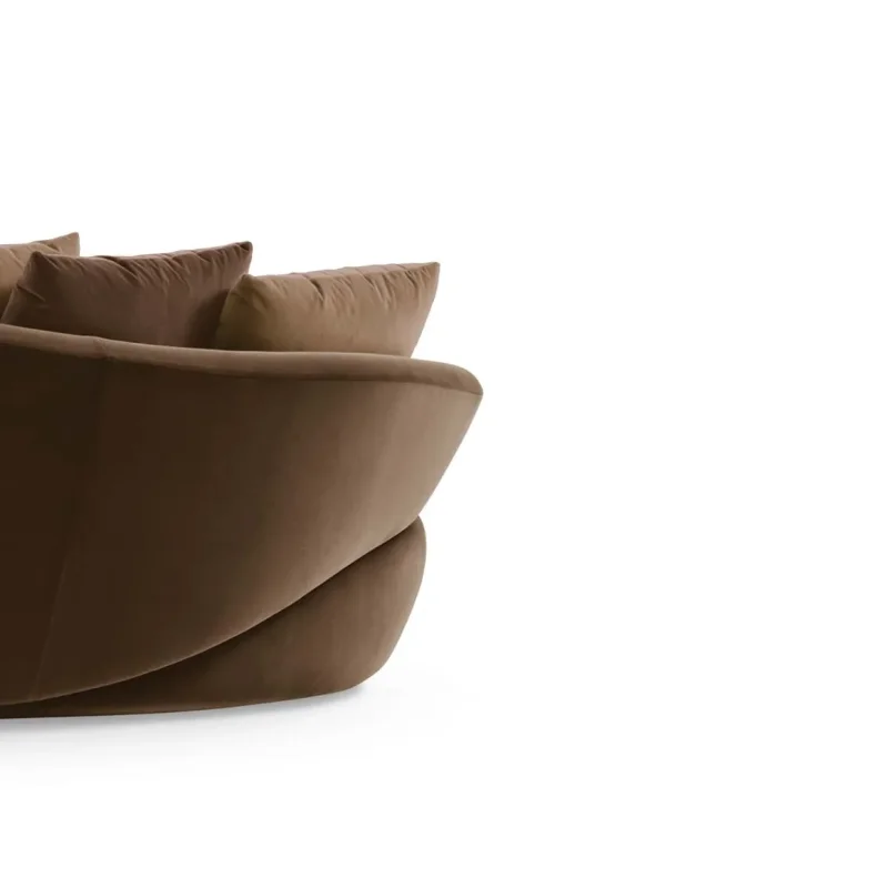 Solemyidae – Giorgetti at Mesmetric