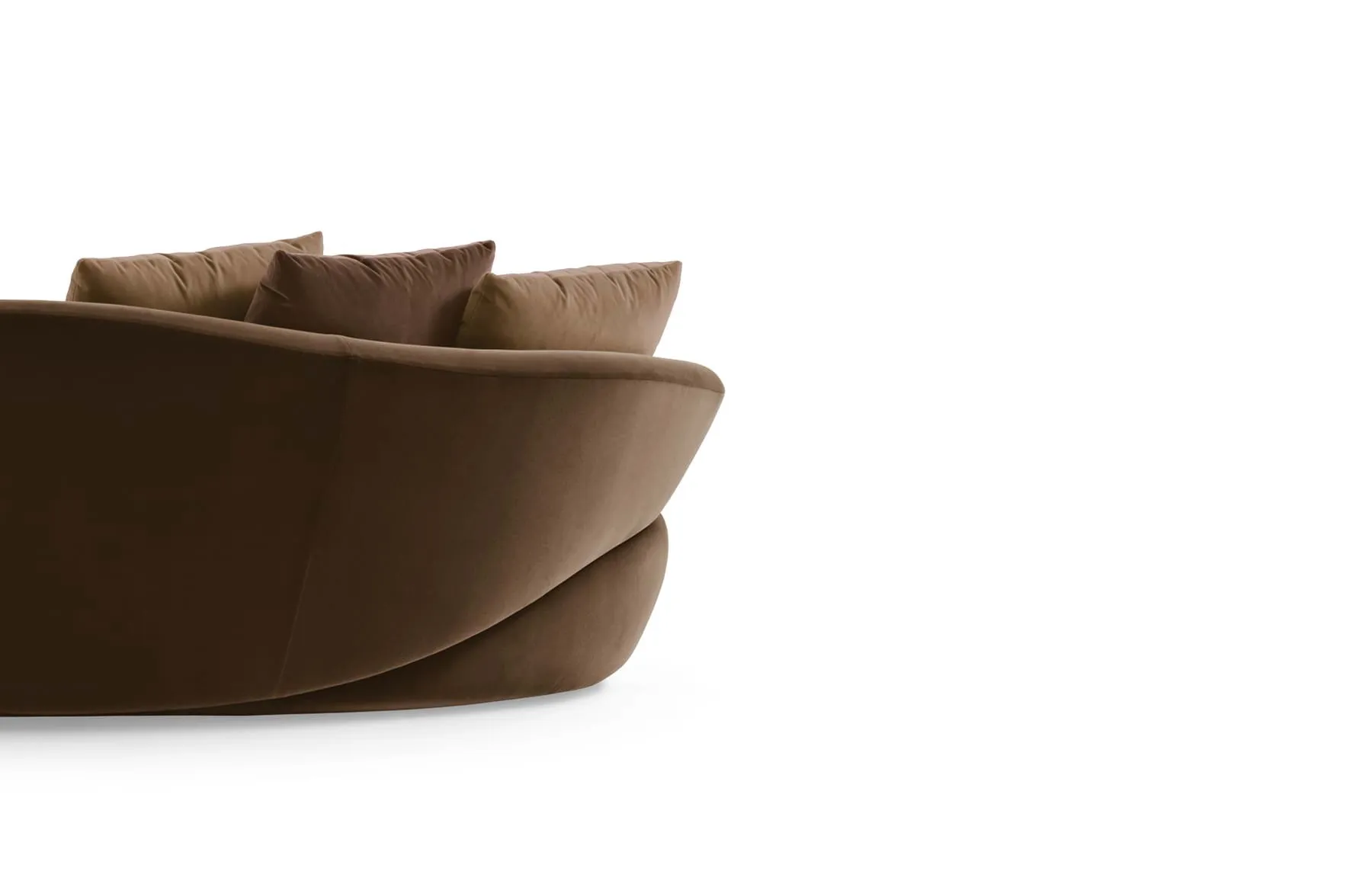 Solemyidae – Giorgetti at Mesmetric