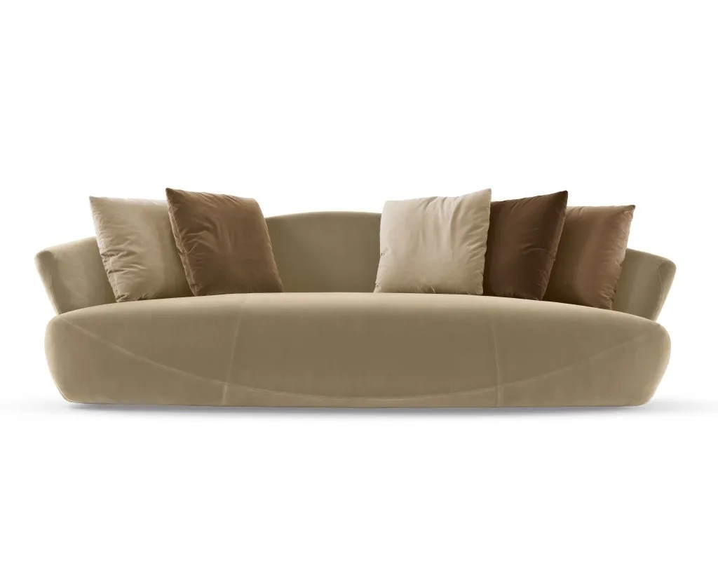 Solemyidae – Giorgetti at Mesmetric