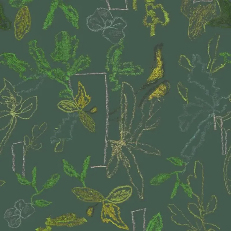 Sprouts – Moooi Carpets at Mesmetric